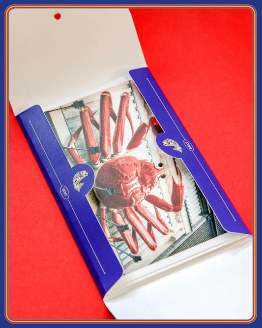 Souvenirs photographiques d'Osaka !