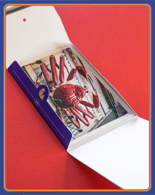 Souvenirs photographiques d'Osaka !